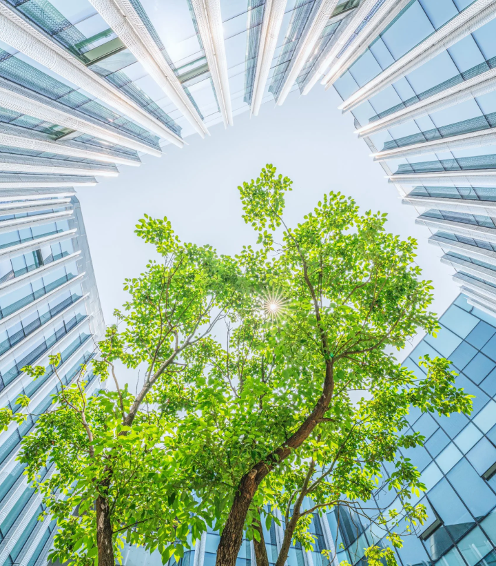 Sustainability